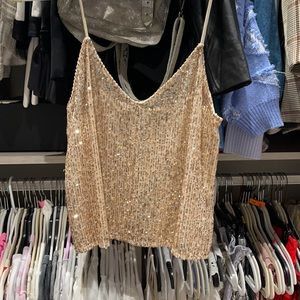 Zara Sequin Top
